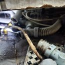 대덕크리닝 | 대덕구하수구막힘 화장실 하수구역류 처리과정