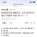 국내 첫 냉동인간…노모 숨지자 아들이 1억들여 '보존' 이미지