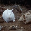 어린왕자 이미지