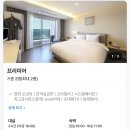 브라운도트 영일대해수욕장점 네이버블로그