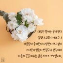 화요일 이미지