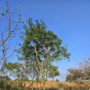 학자농원 이미지