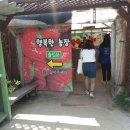 행복한농장 이미지
