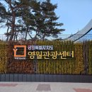 강원특별자치도영월의료원 | [영월] 강원특별자치도 영월관광센터 방문 후기