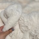 자연과사람을위한세탁 | 친환경세제추천 세탁세제 건조기시트 블루워시 4일간 1+1 대박