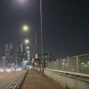 장안교 | 🏃‍♀️ [오운완] 중랑천 힐링 러닝! 군자교 ~ 장안교 5km 갓생 추구하는 자의 러닝 코스 후기 🌿