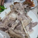 마비정길 이미지