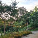 경성민박 이미지