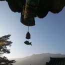 단전호흡 명상법 이미지