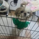 능금이 식당