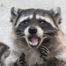 만정낚시터 매점 | 24.09.21[당일치기] 인생 첫 최대어(?)를 안겨 준 인천 영종도 바다 낚시터 [만정사계절바다낚시터] 후기