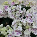 제중내과의원 이미지