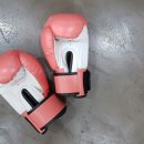 타이틀복싱 수원 망포점 네이버블로그