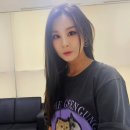 장미전쟁 이미지