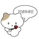 리히트스튜디오