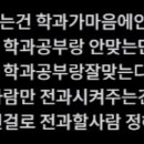 팔리아치