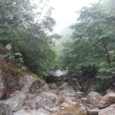 중원계곡(주차장) 이미지