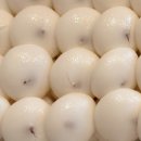 진건오남로359 이미지