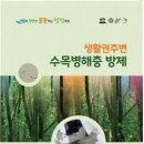 수목 이미지
