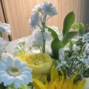 광명심포니오케스트라 정기연주회 이미지