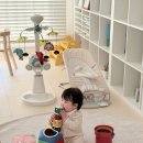 씨디월드 | 월팸 전집 당근 산 이유 | 엄마표영어 스케쥴 | 디즈니 월드 패밀리 아이 반응 솔직 후기