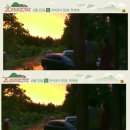 시선민박