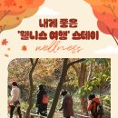 웰니스스테이