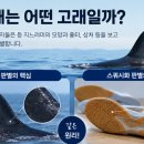네이버블로그