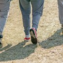 “매일 이 시간에” 걸어보세요! 복부 비만과 혈당 조절에 최고입니다 이미지