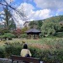 보문정 | [경주 보문정] CNN 선정 명소, 기대와 현실 사이 (솔직 방문기)