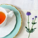 프랑스자수 이미지