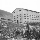 무학농장 이미지