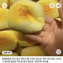 네이버블로그