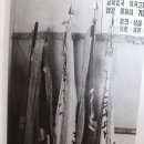 울진여자고등학교 이미지