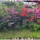 처음처럼 펜션민박 이미지