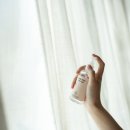 2026 서울 국제 도서전 완벽 가이드 : 인간선언 주제, 티켓 얼리버드, 강연 예매 전략