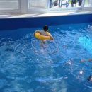 감포 더 고아라 비치 펜션 이미지