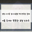 인천강아지분양 멍그레 | 인천 아가몽 강아지분양 99 만족한 실제 이용 후기와 똑똑한 요청 노하우