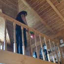 동해래요펜션 이미지