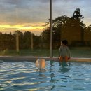 제주호시담 이미지