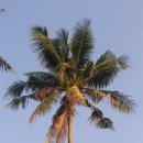 강변마을 이미지