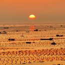 월드목장 이미지