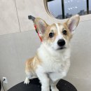 몽심살롱 이미지