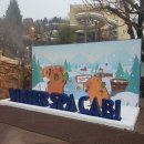 유수 | 캐리비안베이 카피바라 기간 겨울 스파 유수풀 체험 후기