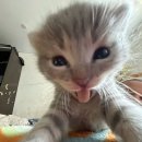 5번로 편의점 이미지