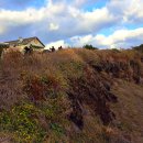 꼬지이야기 이미지