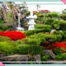 야자수정원 이미지