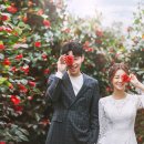 첫사랑스튜디오 이미지