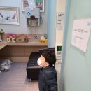 목동키즈웰소아청소년과의원 이미지