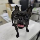 둔포중학교 이미지